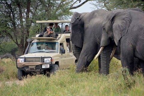4 Tage Tansania Beste Camping Safari: Lake Manyara, Serengeti & Ngorongoro Krater