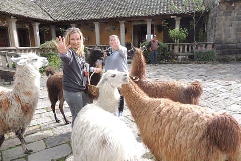 Cotopaxi nasjonalpark og Inca Ruins Day Trip