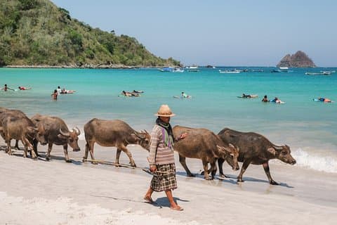 Visite des plages de South Lombok avec un guide parlant japonais