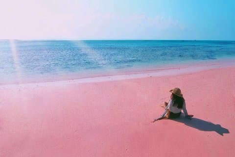 Visite L'île de Lombok: Pittoresque plage rose avec Guide Francophone