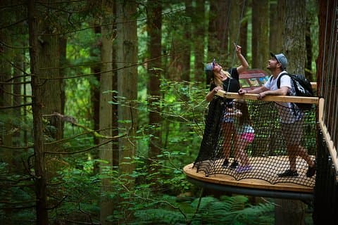 Private Tauranga Day Trip-Rotorua Geysers & Canopy Tree Walk.