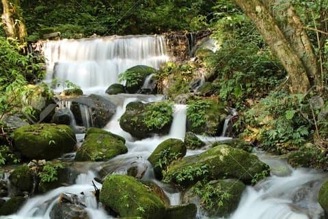 Shivapuri day hike from Kathmandu