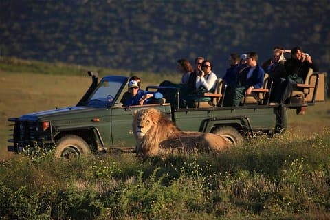 Safari de luxe de 2 jours sur la Garden Route In & Out
