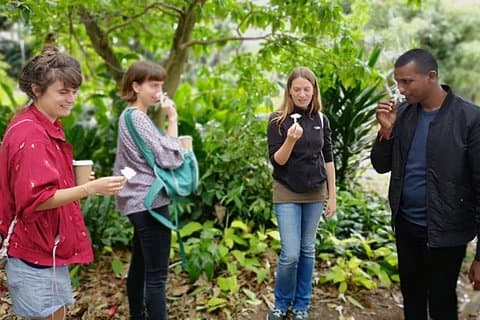ダーバンインモーメント：植物園、部族博物館、伝統的な市場