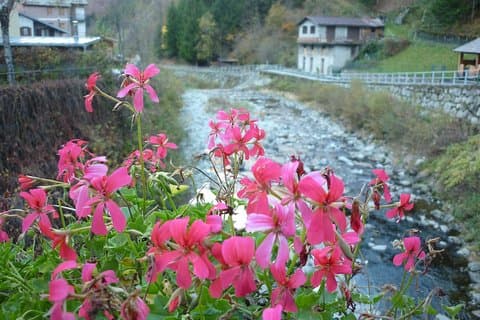 Dagstur från Milan: Valtellina och vinprovning - privat rundtur