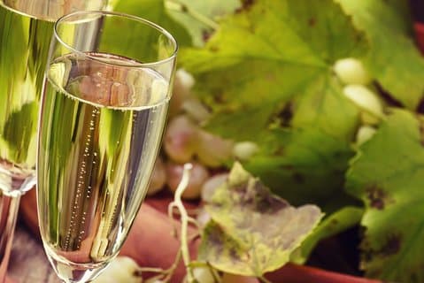 Day trip from Milan: Franciacorta, a paradise for wine lovers! - private tour