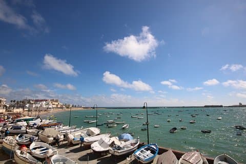 Cadix Shore Excursion : Visite panoramique et à pied avec dégustation de fromage et de xérès