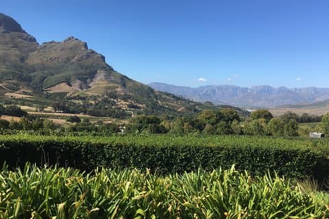 Tour de vinho de dia inteiro na África do Sul (Stellenbosh, Franschhoek e Paarl)