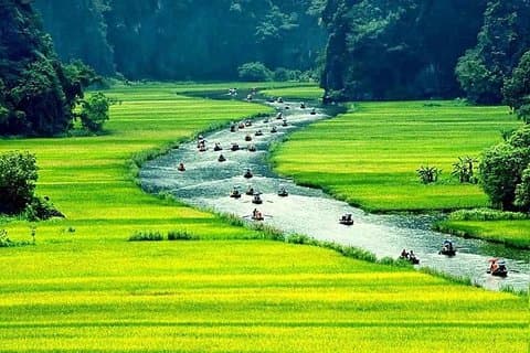 Excursion privée d'une journée à l'ancienne citadelle de Hoa Lu et à Tam Coc au départ de Hanoi