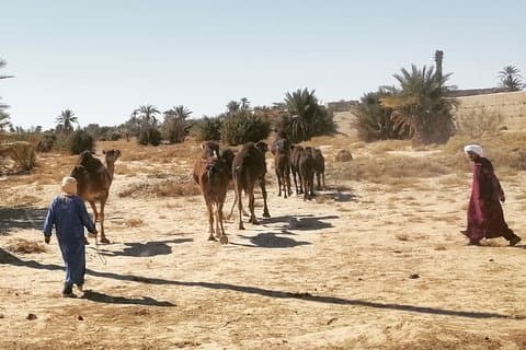 11 Tage 10 Nächte Ouzoud_Marrakech_Desert_Fez_Chouen_Casablanca