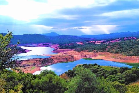 Excursão para grupos pequenos - Tempio Pausania, Luras, Condado de Gallura - SARDENHA - ITÁLIA