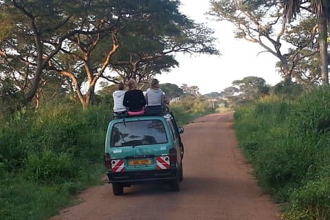 Safari de un día en Murchison Falls (Game Drive & Falls)
