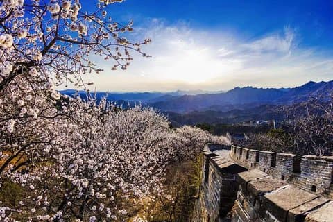 Beijing : Mutianyu Grote Muur Dagelijkse Tour met Ticket & Lunch
