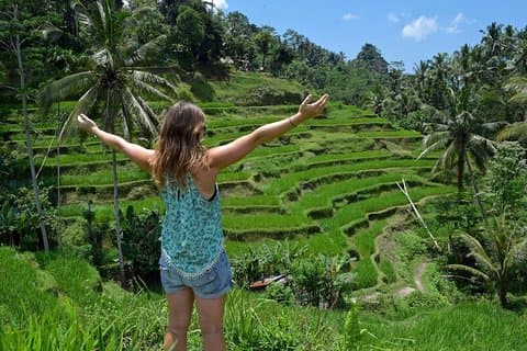 Excursión guiada privada de un día cultural de Danza Barong y Ubud