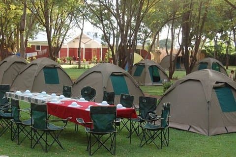 Visita guiada de 2 días en el cráter de Tarangire y Ngorongoro