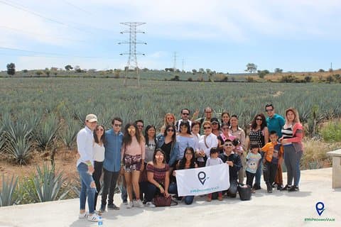 Tour to Tequila and Los Cantaritos de Amatitán from Guadalajara