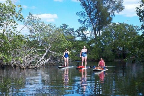 Island City ECO Paddle e Lezione a 9.3 Acre Nature Preserve