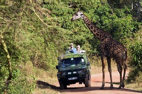 Safari de 2 días para grupos pequeños en Tanzania desde Arusha