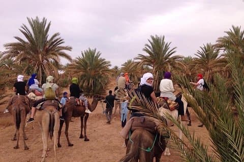 Circuit de 2 jours: un avant-goût du désert marocain