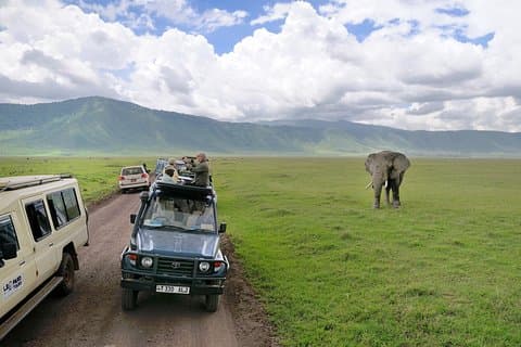 Safari Lodge de 2 jours avec prise en charge à l'hôtel à Arusha