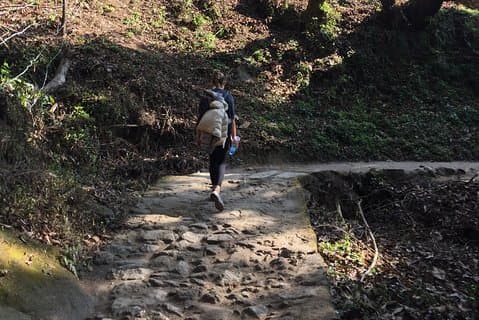 Caminhada de 3 dias em Chisapani e Nagarkot saindo de Katmandu