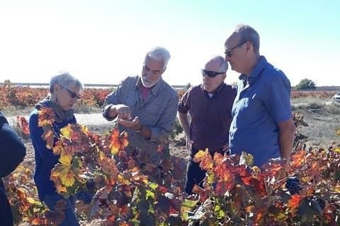 Private Wineries Tour from Valencia (morning tour)