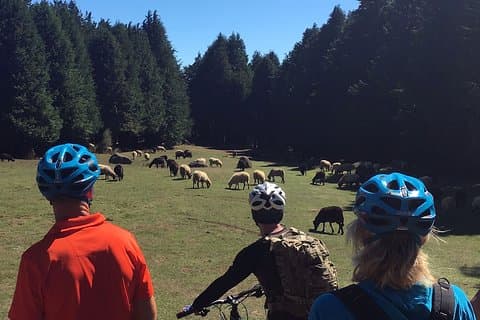 簡単なレヴァダ サイクリング ツアー