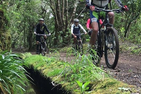 Botaniska stigar på Madeira. Mountainbike Trail Experience