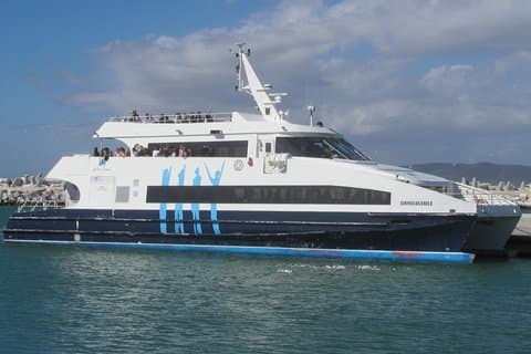Cape Town Private -Robben Island and Cape Peninsula Penguins Tour