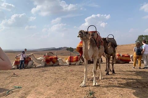 Marrakech: Agafay Desert and Pool Day Pass with Lunch + Camel