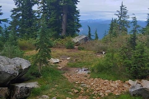 Naturtour / Wanderung