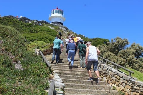 Privat dagstur til Cape of Good Hope Penguins Inc inngangsbilletter fra Cape Town