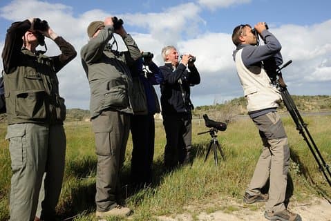 Agadir vogels kijken