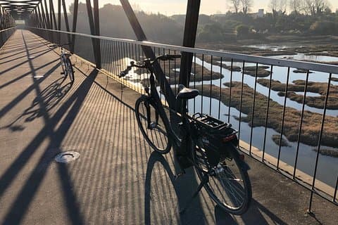 自転車で海事博物館とタラ水族館