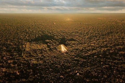Halvdagstur till antika Coba-ruiner och simma vid Mayan Cenote