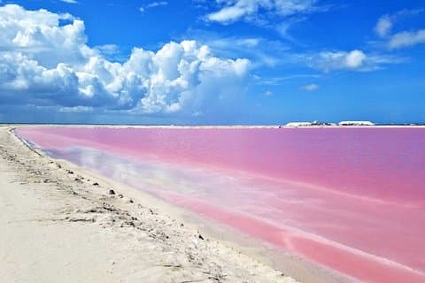 Gorgeous Natural Pink Lake, Las Coloradas Tour! Från Riviera Maya