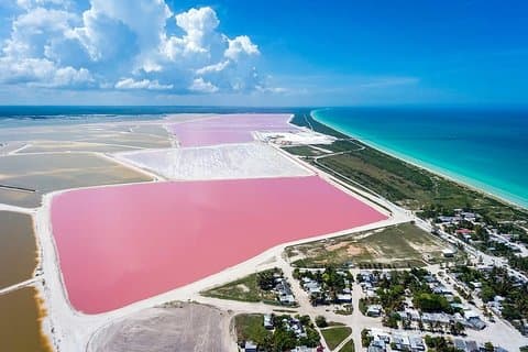 Billeder af Las Coloradas og Rio Lagartos Biosphere
