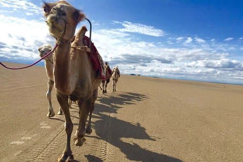 4-tägige Dunhuang Tour durch die Seidenstraße
