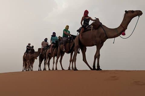 Delad grupp Lyxig 2-dagars ökenresa från Fès till fes