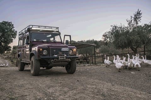 Nachtsafari und Aperitif bei Florenz