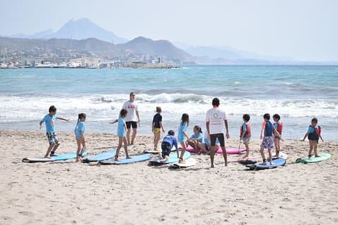 Beginner Surf Course