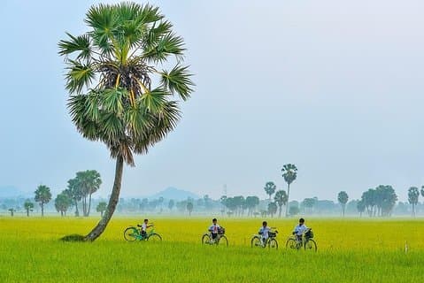 3-dages oplevelse Ho Chi Minh (Saigon) & Mekong Delta