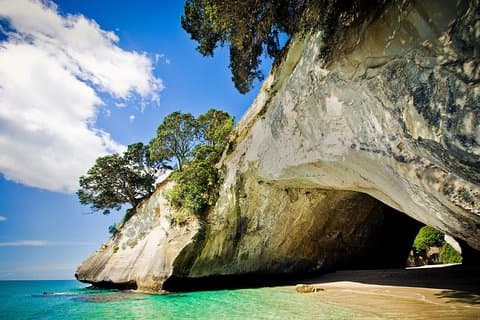 Expérience côtière de Coromandel - Visite en petit groupe d'Auckland
