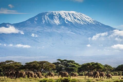 Escale o Monte Kilimanjaro: Rota Machame de 7 dias