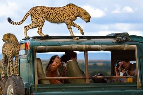 6 giorni Maasai Mara, L. Nakuru, Aberdare e Samburu Safari (MINIMO 2 PERSONE)