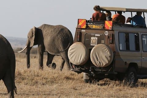 Safari di 5 giorni Amboseli, Tsavo West e Tsavo East