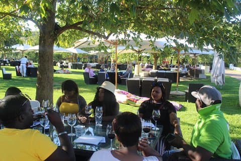 Visite privée des vignobles de Constantia + Kirstenbosch, billets inclus