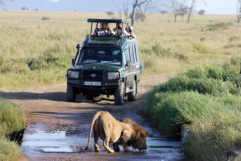3 dagars privat safari till Samburu National Reserve
