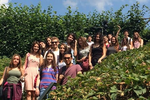 Engelsk + Medicin University Taster One Week Program i London