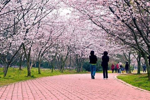 Half-Day Wuxi Yuantouzhu Park Private Guided Sightseeing Tour